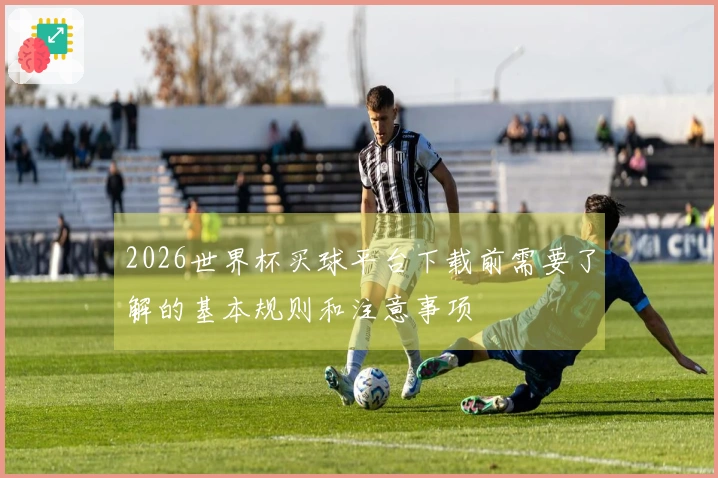 2026世界杯买球平台下载前需要了解的基本规则和注意事项