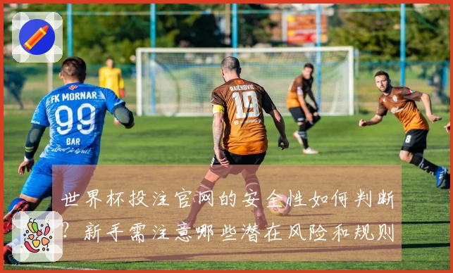 世界杯投注官网的安全性如何判断？新手需注意哪些潜在风险和规则？
