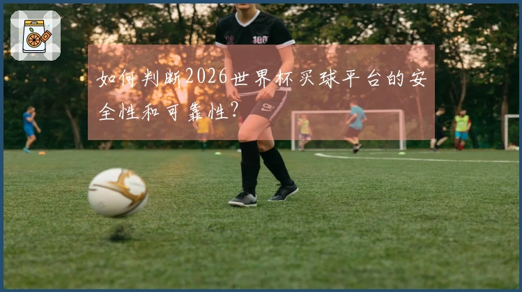如何判断2026世界杯买球平台的安全性和可靠性？