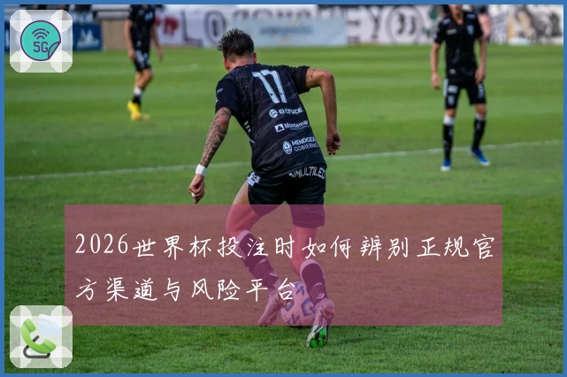 2026世界杯投注时如何辨别正规官方渠道与风险平台
