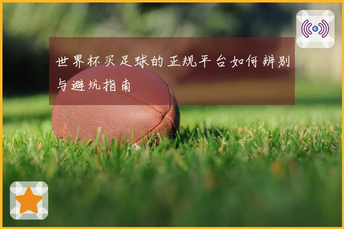 世界杯买足球的正规平台如何辨别与避坑指南