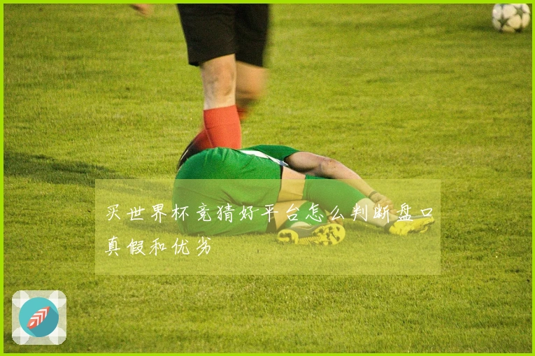 买世界杯竞猜好平台怎么判断盘口真假和优劣