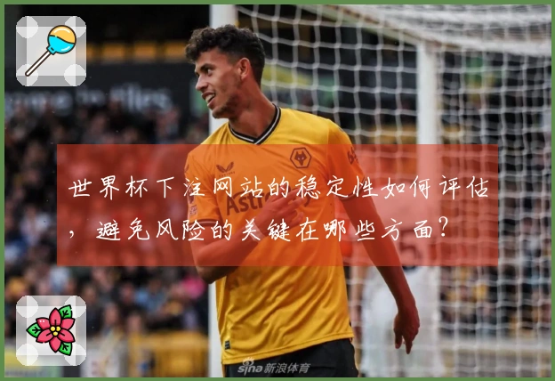 世界杯下注网站的稳定性如何评估，避免风险的关键在哪些方面？