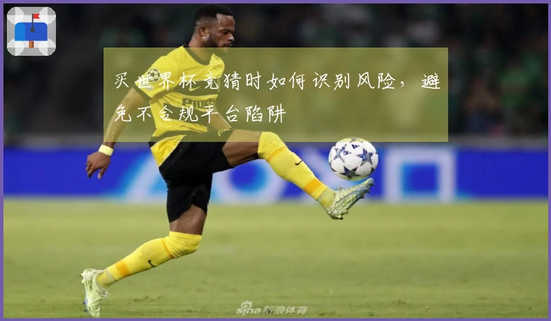 买世界杯竞猜时如何识别风险，避免不合规平台陷阱