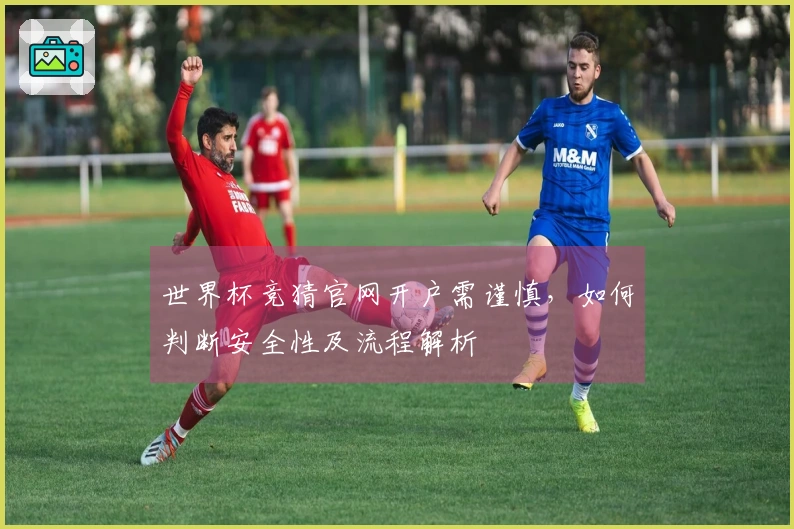 世界杯竞猜官网开户需谨慎，如何判断安全性及流程解析