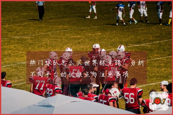 热门球队怎么买世界杯竞猜？分析不同平台的优缺点与注意事项