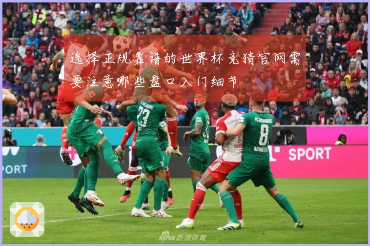 选择正规靠谱的世界杯竞猜官网需要注意哪些盘口入门细节