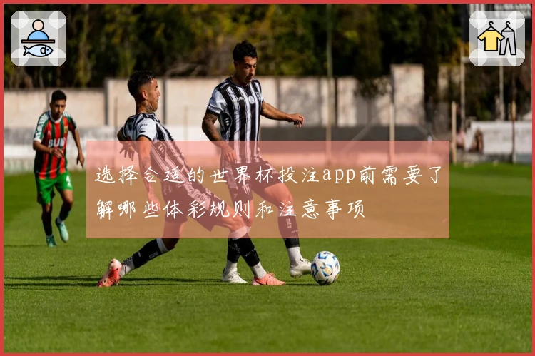 选择合适的世界杯投注app前需要了解哪些体彩规则和注意事项