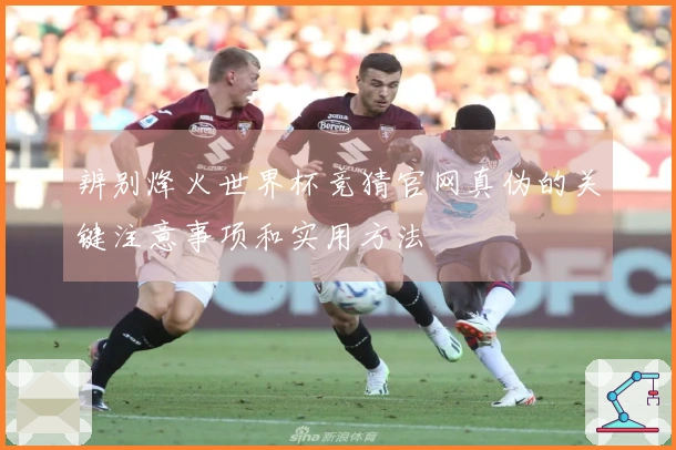 辨别烽火世界杯竞猜官网真伪的关键注意事项和实用方法