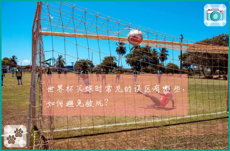 世界杯买球时常见的误区有哪些，如何避免被坑？