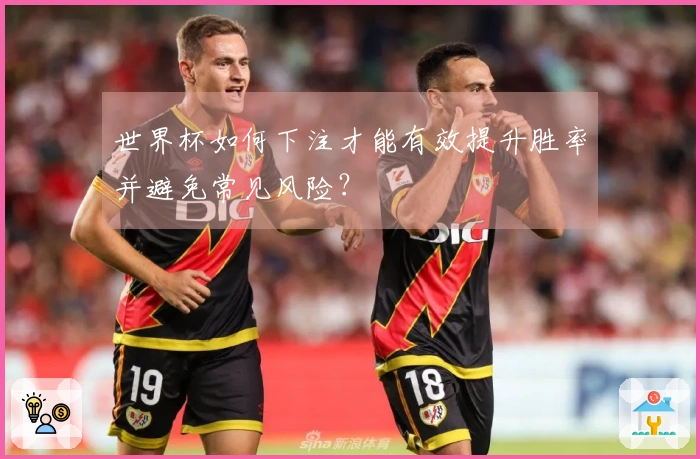 世界杯如何下注才能有效提升胜率并避免常见风险？