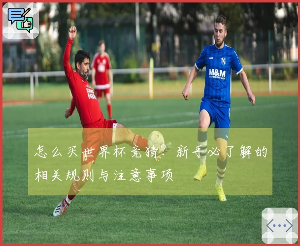 怎么买世界杯竞猜？新手必了解的相关规则与注意事项