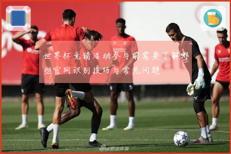世界杯竞猜活动参与前需要了解哪些官网识别技巧与常见问题