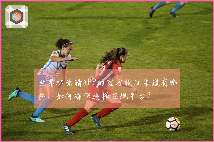 世界杯竞猜APP的官方投注渠道有哪些，如何确保选择正规平台？