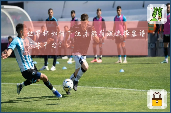世界杯如何下注才能有效选择靠谱买球平台？