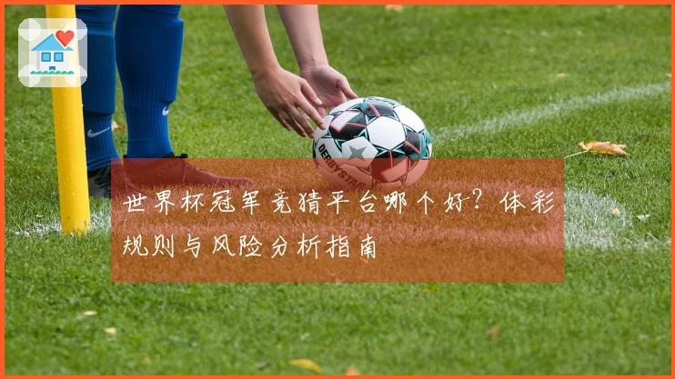 世界杯冠军竞猜平台哪个好？体彩规则与风险分析指南