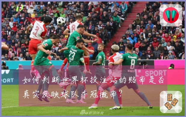 如何判断世界杯投注站的赔率是否真实反映球队夺冠概率？