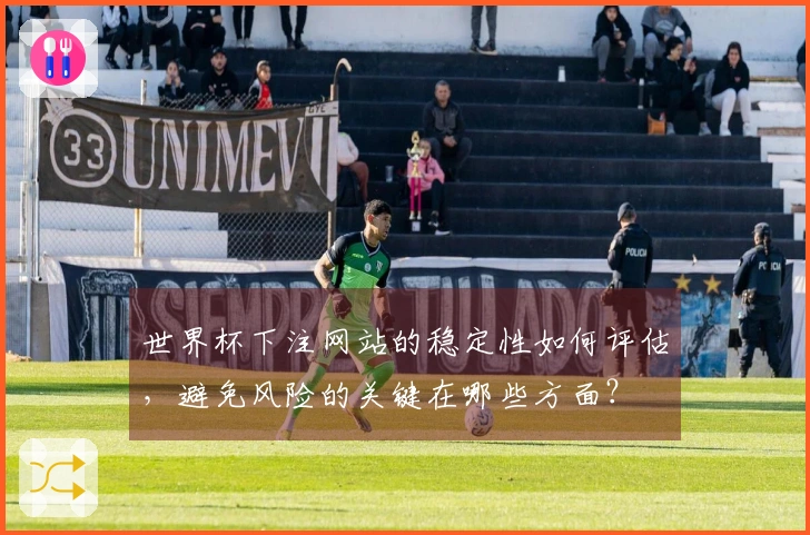 世界杯下注网站的稳定性如何评估，避免风险的关键在哪些方面？