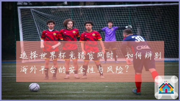 选择世界杯竞猜官网时，如何辨别海外平台的安全性与风险？