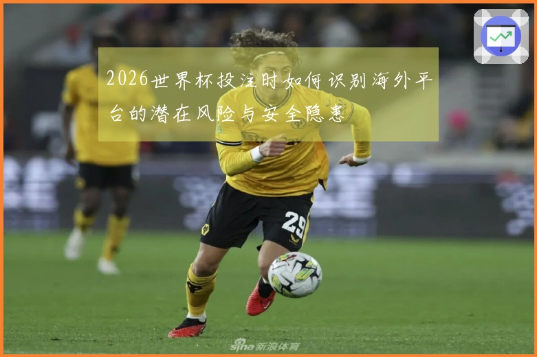 2026世界杯投注时如何识别海外平台的潜在风险与安全隐患
