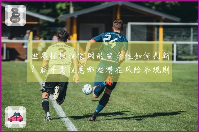 世界杯投注官网的安全性如何判断？新手需注意哪些潜在风险和规则？