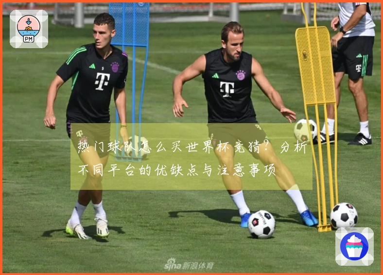 热门球队怎么买世界杯竞猜？分析不同平台的优缺点与注意事项