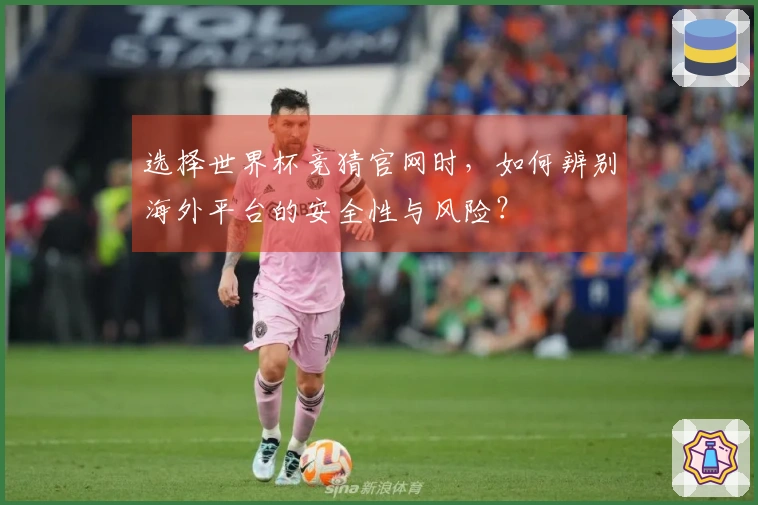 选择世界杯竞猜官网时，如何辨别海外平台的安全性与风险？