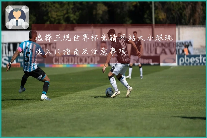 选择正规世界杯竞猜网站大小球玩法入门指南及注意事项