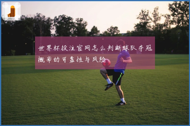 世界杯投注官网怎么判断球队夺冠概率的可靠性与风险