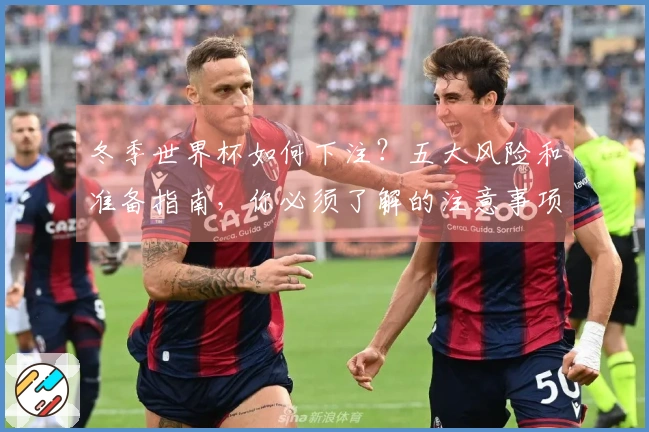 冬季世界杯如何下注？五大风险和准备指南，你必须了解的注意事项