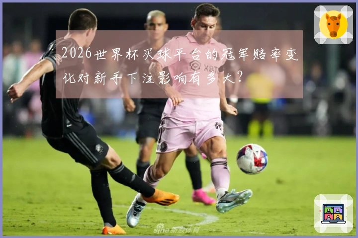 2026世界杯买球平台的冠军赔率变化对新手下注影响有多大？